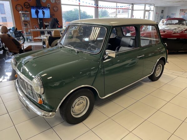 mini 1000